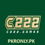 C222 Game