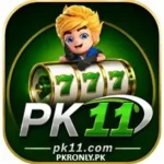 PK11 Game