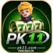PK11 Game